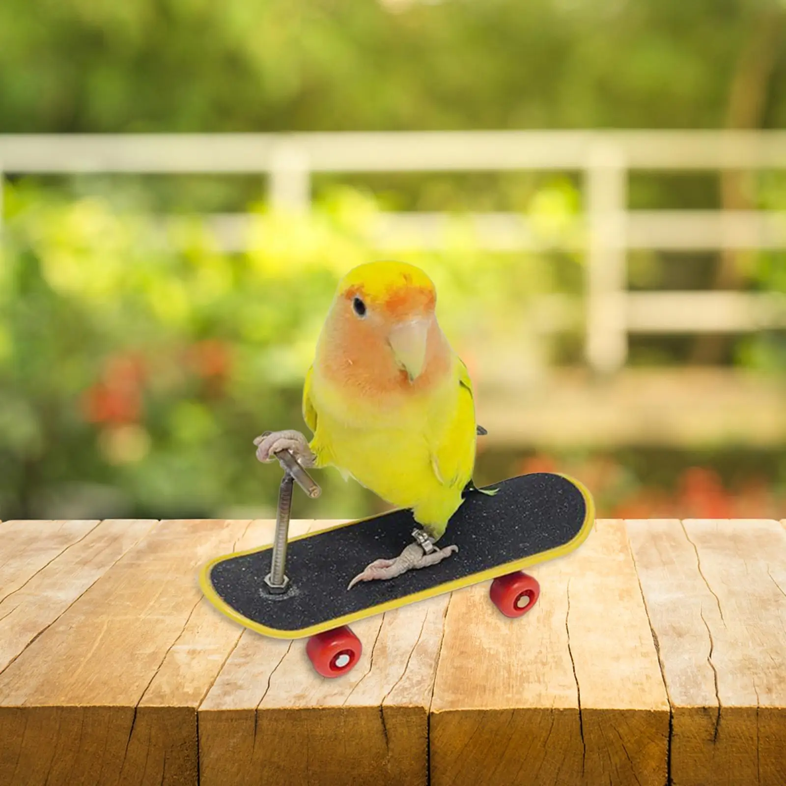 Parrot Toy Pet Supplies Exercising Parrot Playground Sturdy Mini Skateboard