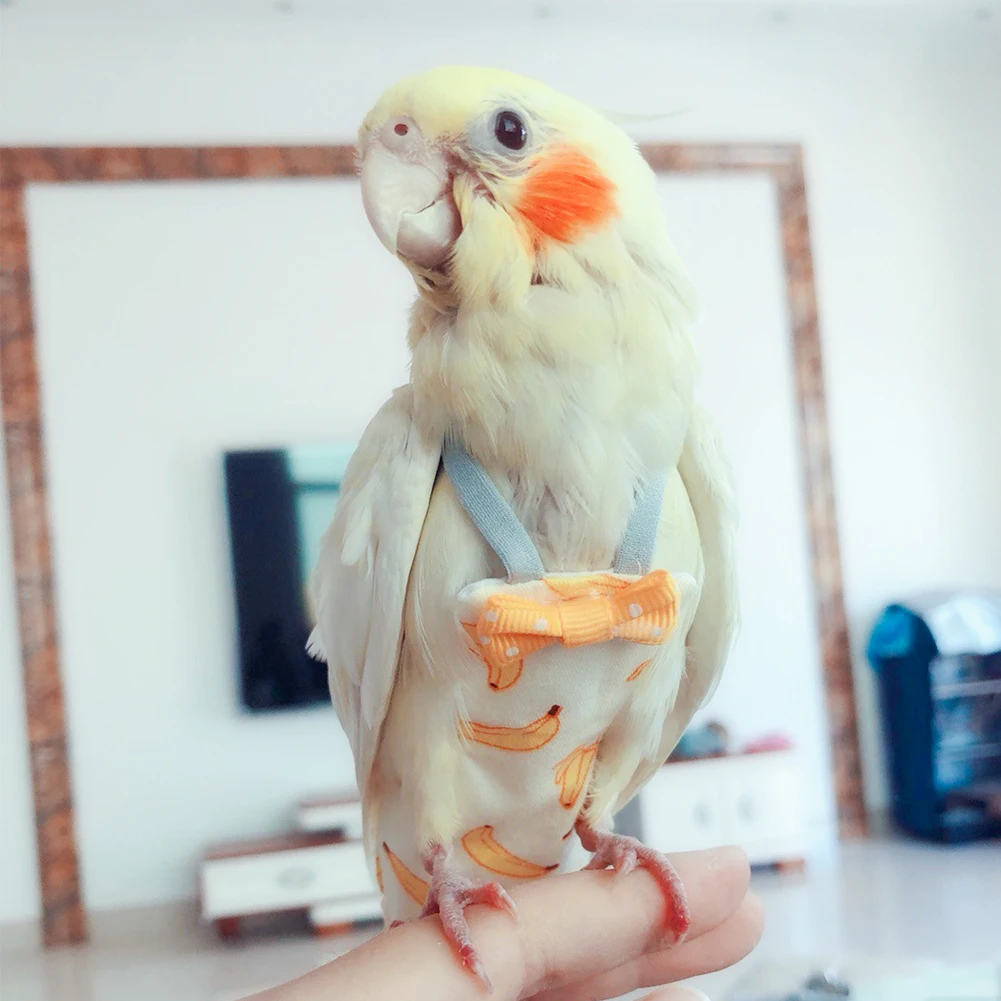 Cute Parrot Flight Suit 5