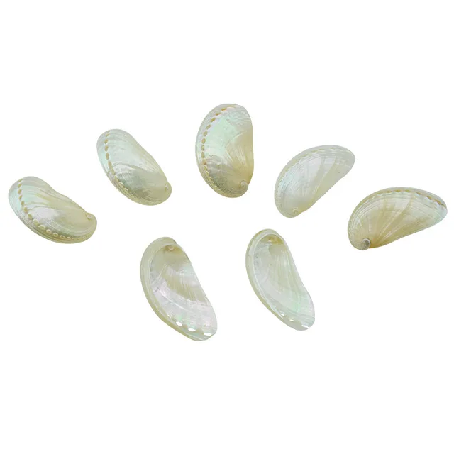 6-8cm /6PCS Abalone Shell Natural Conch Abalone Shell Polished Shell Props Fish Tank Landscaping Aquarium Decoration DIY Jewelry 5