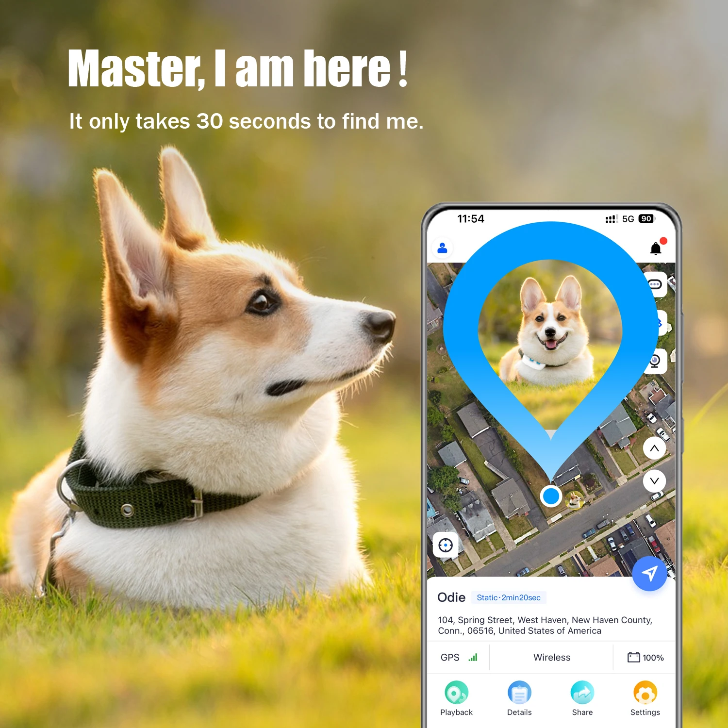 Global Pet Tracker smart tracker