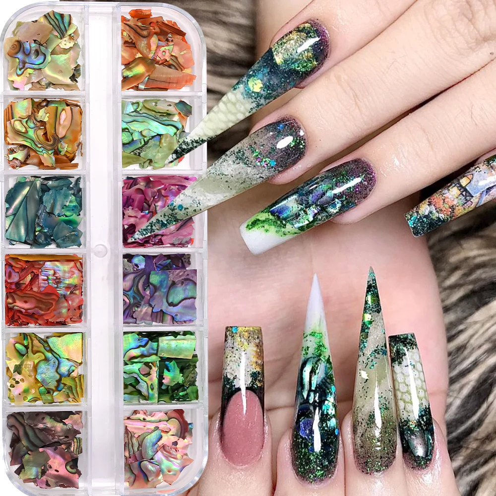 12Grids Nail Art Aurora Abalone Shell Flakes 3D Irregular Sea Shell Slices Nail Charms 1pcs Holographic Shell Sequins Nail Parts 2