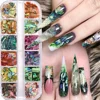 12Grids Nail Art Aurora Abalone Shell Flakes 3D Irregular Sea Shell Slices Nail Charms 1pcs Holographic Shell Sequins Nail Parts 2