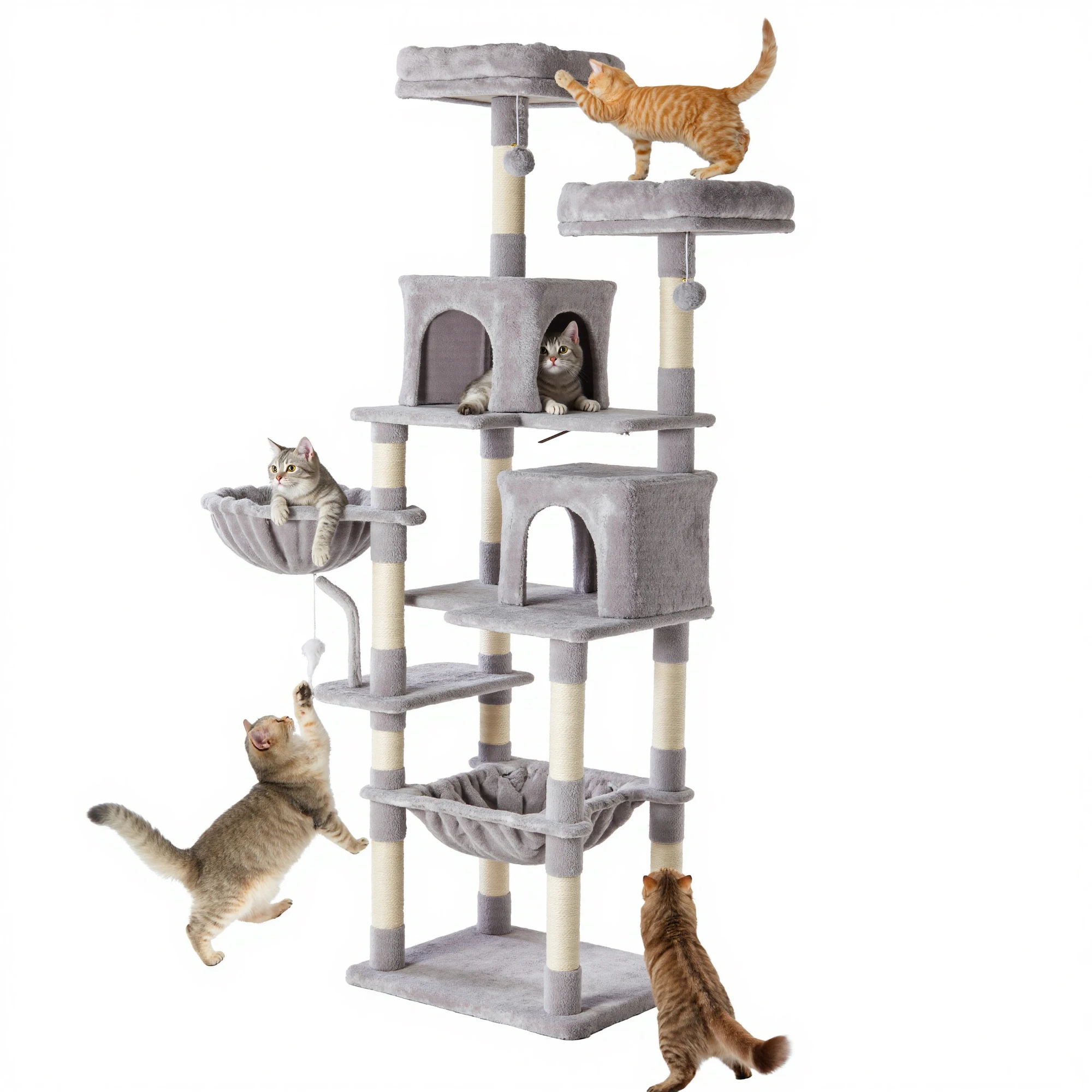 multi cat usage