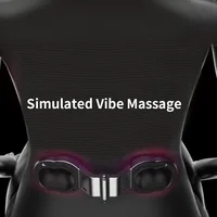 Electric Massage Waist Pad
