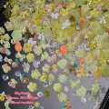 5Mix(50g)500-600pcs