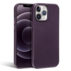 Luxury Leather Magnetic Phone Case with Wireless Charging Animation - iPhone 13 Mini (Cherry color)