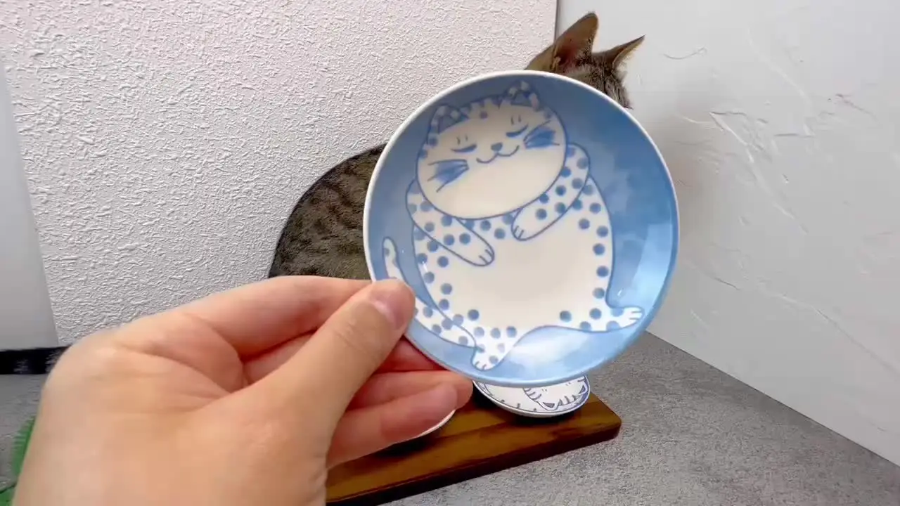 Ciotole Portasalsa In Ceramica 3 Pezzi – Piattini Giapponesi A Forma Di Gatto Per Salsa Soia, Snack E Dessert