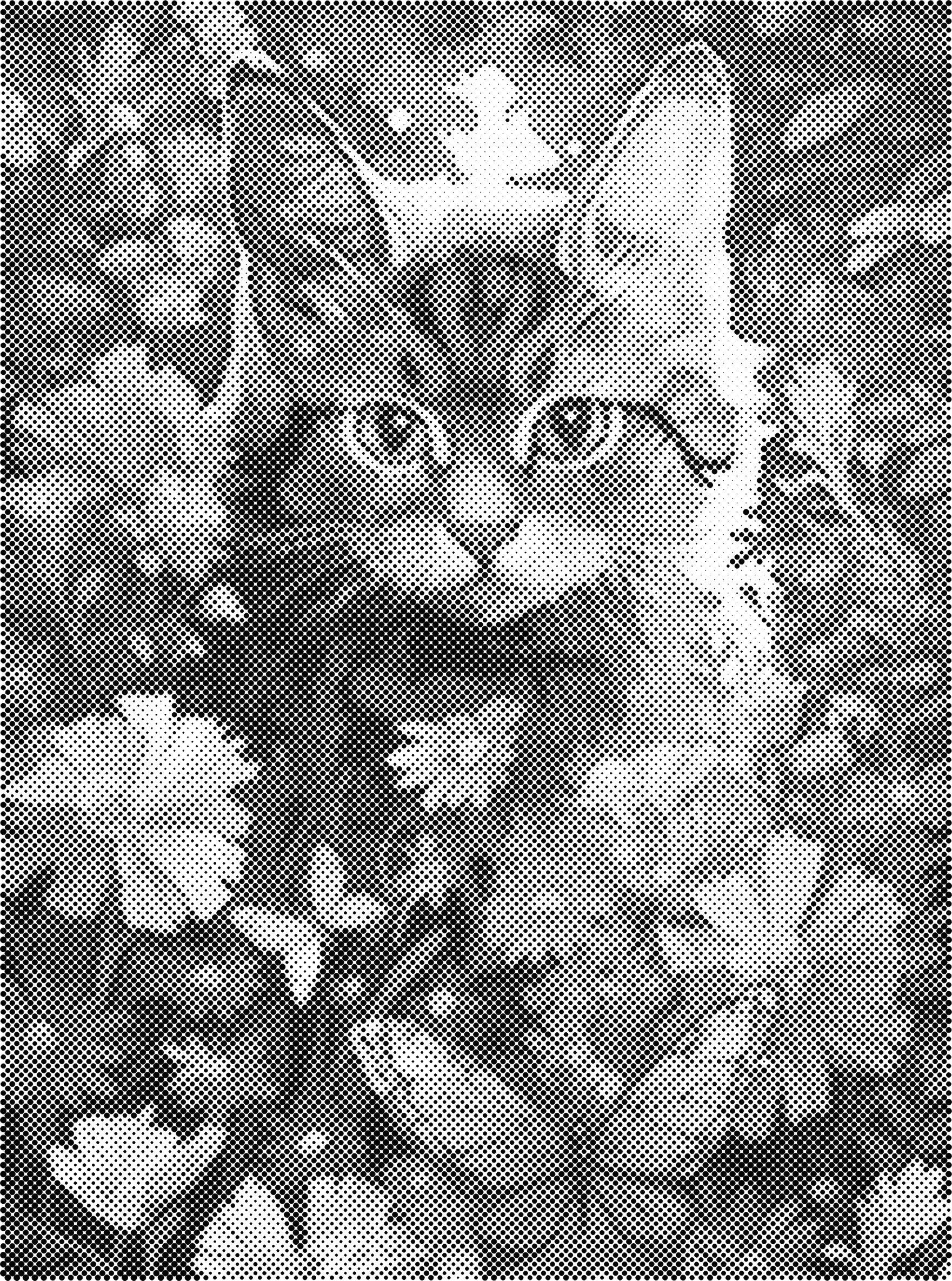 30x40cm 동물 WD-j2506j2526 단색 점화 그림 펑크트말레리 스티펠렌 단색 점화 예술
