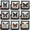 1pcs Real Butterfly Specimen Insect Home Decor Photo Frame   Desk Decoration Figurines Birthday Gift Teaching Training 1