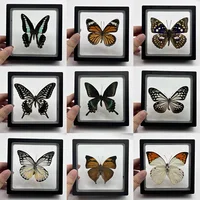 1pcs Real Butterfly Specimen Insect Home Decor Photo Frame   Desk Decoration Figurines Birthday Gift Teaching Training 1