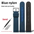 Blue-silver pin