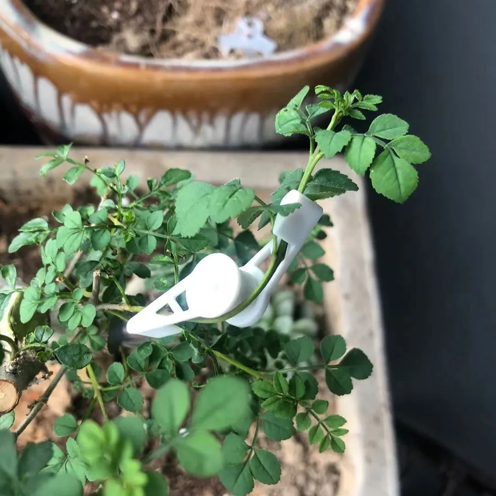 10 шт. держатель для растений 360 ° |