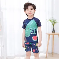 2024 Summer Children Beach Suits T-shirts+Shorts Unisex Boys Girls Two Pieces Swimwear Kids Cute Surfsuit Cartoon Print Swimsuit 2