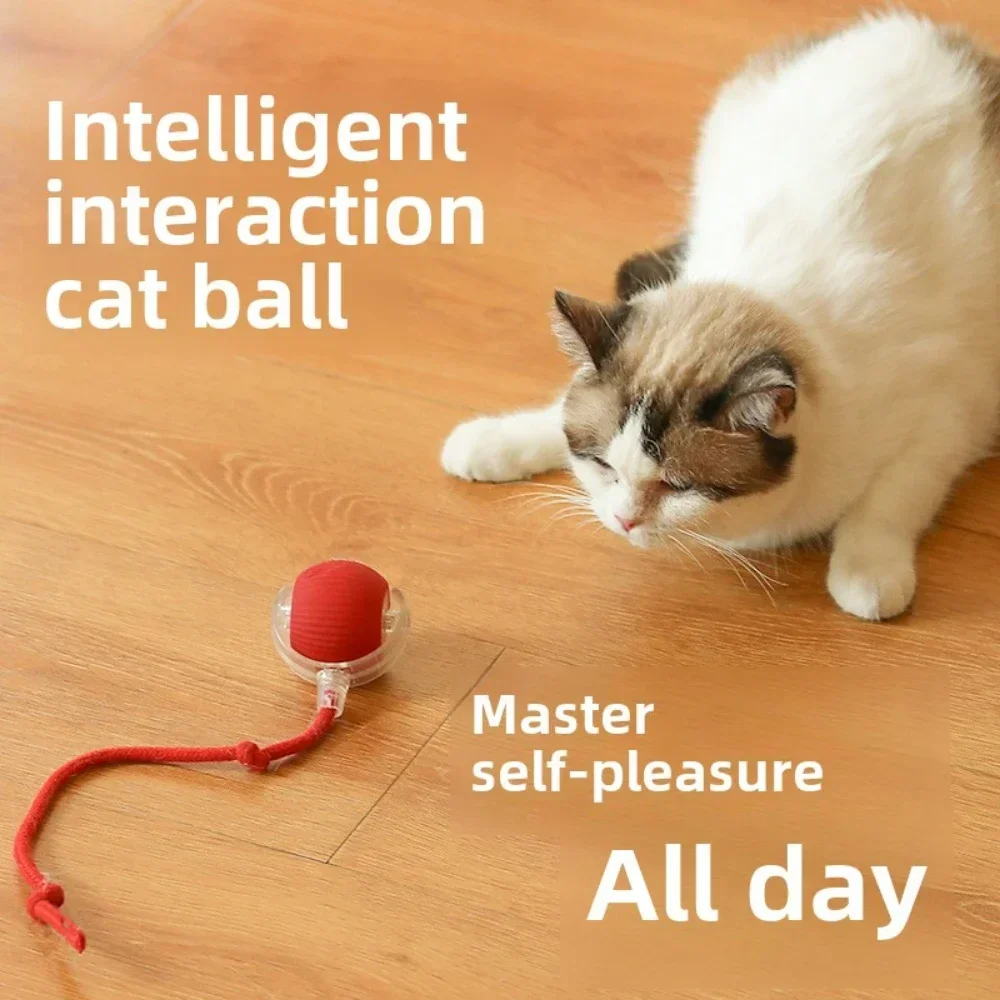 New Electric Dog Ball Toy Simulation Cat Tail Rechargeable Intelligent Pet Interactive Automatic Rolling Ball Toy view 3