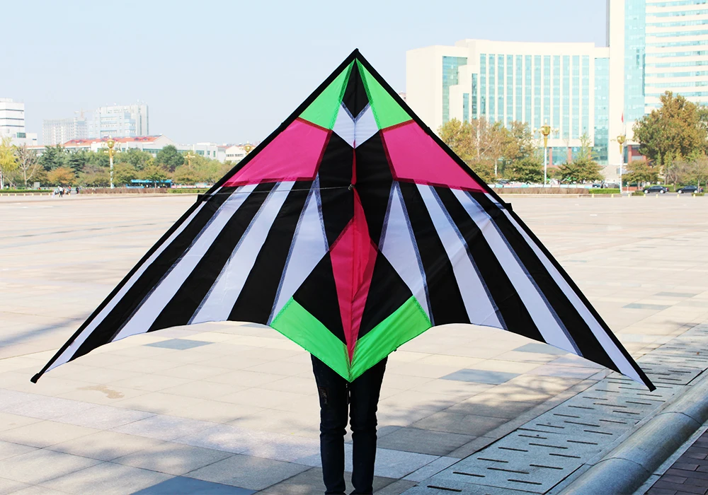 Outdoor Fun Sports New Arrive 2.5m Colorful Triangle Kites  With Handle & Line Good Flying 6