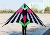 Outdoor Fun Sports New Arrive 2.5m Colorful Triangle Kites  With Handle & Line Good Flying 6