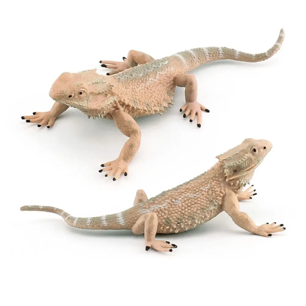 Scorpion Simulation Wild Reptile Model Handmad Collectible Lizard Action Figures Ornament Statue Reptile Amphibious Figurines