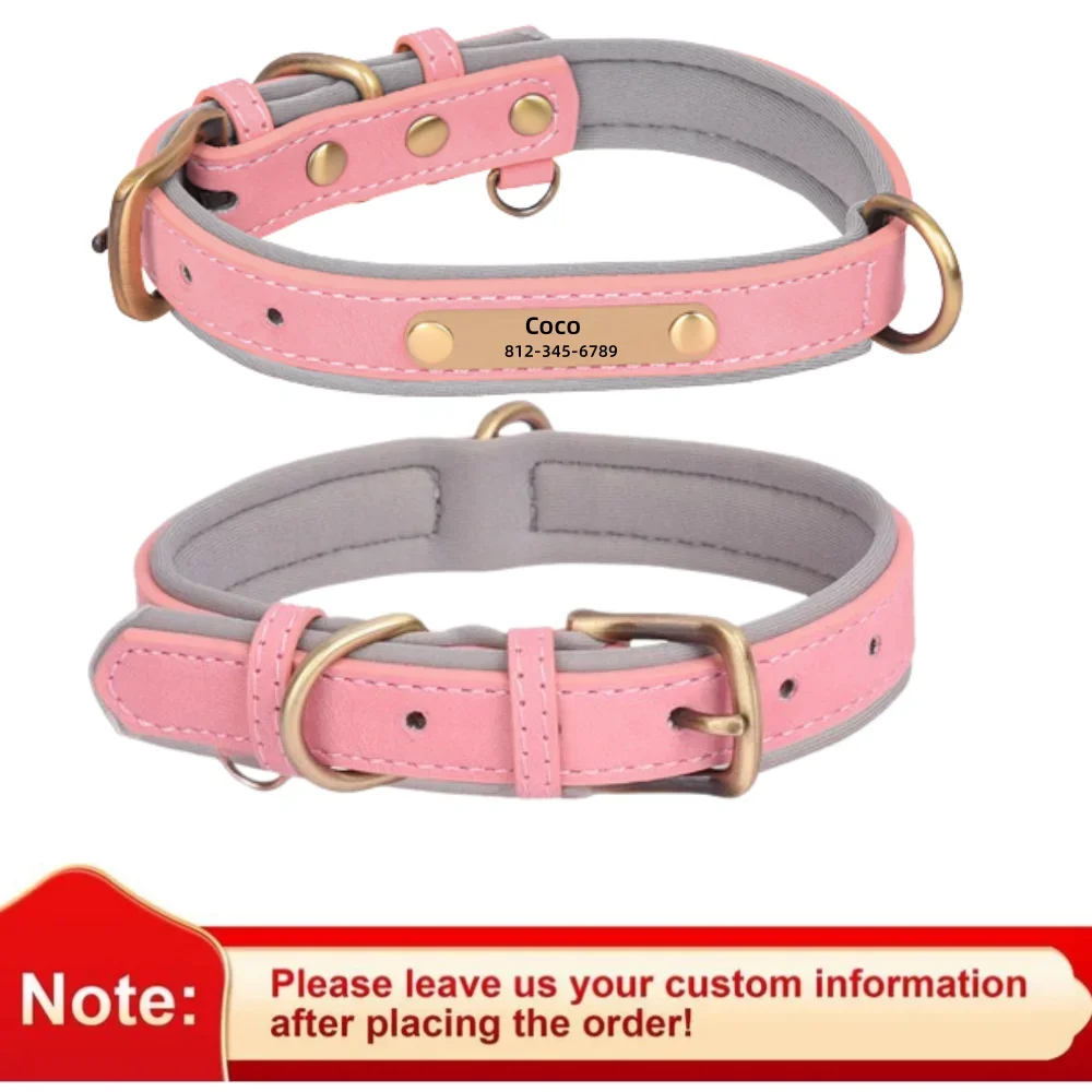 Personalized Soft Padded Leather Dog Collar and Leash with Engraved Nameplate
