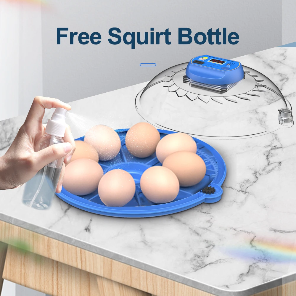 Egg Incubator 8 Egg Automatic Incubator for Eggs Brooder Chicken Duck Quail Birds Electric Incubation 12V 110V 220V