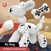 Smart Robots For Kids Programmable Interactive RC Robot Dog Touch Function Tell Story Sing Red toys Dog Large Capacity Battery 5
