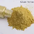Autumn Yellow