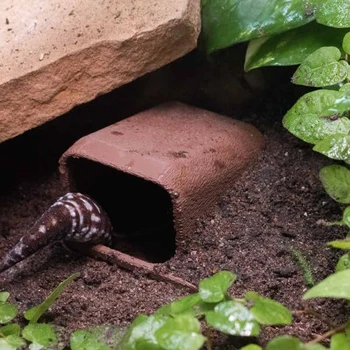 Reptile Hideout Cave for Gecko Lizard and Snake Terrarium Habitat Decoration 1
