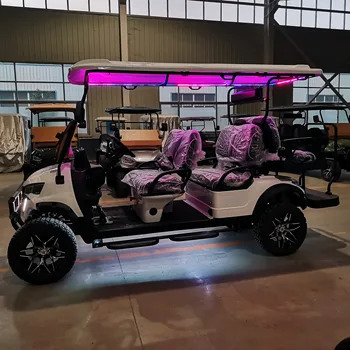 2026 Luxury Street-Legal Electric Golf Cart 5