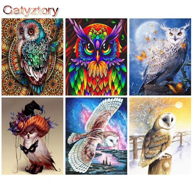 Gatyztory-装飾用の動物の絵,60x75cm,数のカラフルなフクロウの描画,手描き