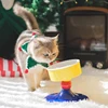 Elevated Ceramic Cat Bowl with 3 Heights, 20° Tilted, Anti-Vomiting, Whisker-Friendly, Elevated Food Dish for Cats & Small Dogs 3