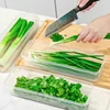 5/1Pcs Noodle Storage Box Long Noodle Preservation Box Plastic Large Capacity Spaghetti Rectangle Food Fresh-keeping Sealed Box 4