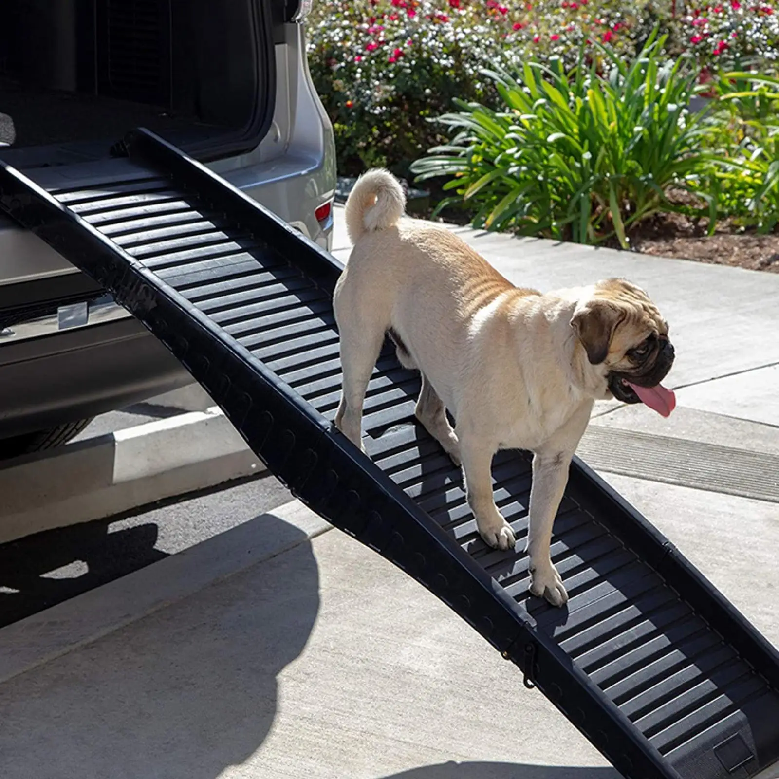 Dog Ramp Pet Ladder Folding Portable Non Slip Lightweight Dog Steps Pet Stairs Car High Beds Travel Couch Indoor Rampe pour chien voiture antidérapante pour coffre SUV et chien âgé