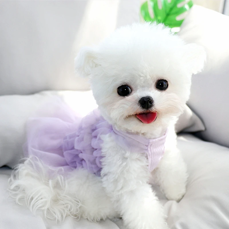 

Purple Dog Clothes Puppy Fairy Skirt Summer Breathable Dress Teddy Solid Color Pullover Pet Princess Skirt