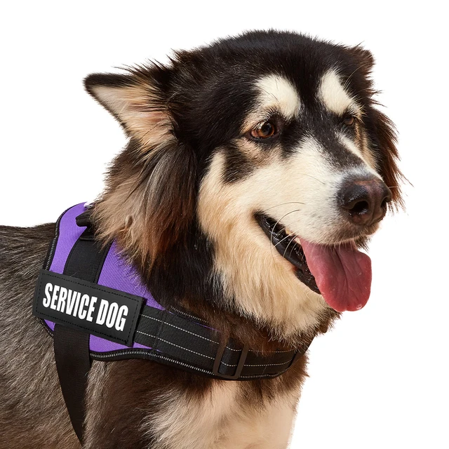 Reflective Pet Harness – Customizable Saddle for All Dog Sizes 3
