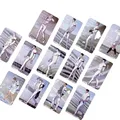 13 Pcs