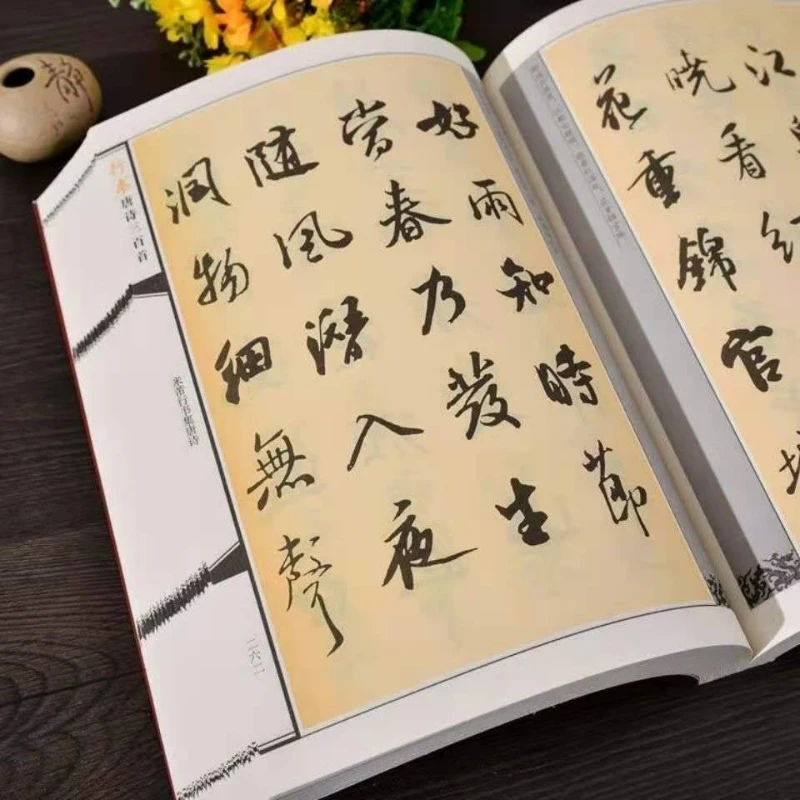 Рисунок 6 - Тетрадь Wang Xizhi для бега