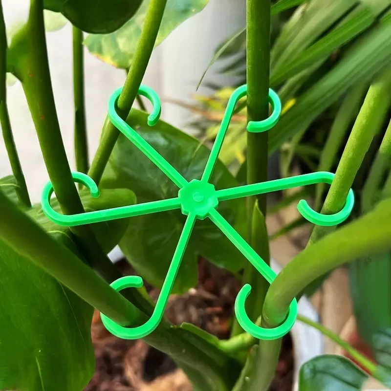 8 Supporti Per Steli Di Piante Rampicanti | Tutori In Plastica Verde Misure Assortite 5-13 Cm | Per Orchidee, Pomodori, Peperoni
