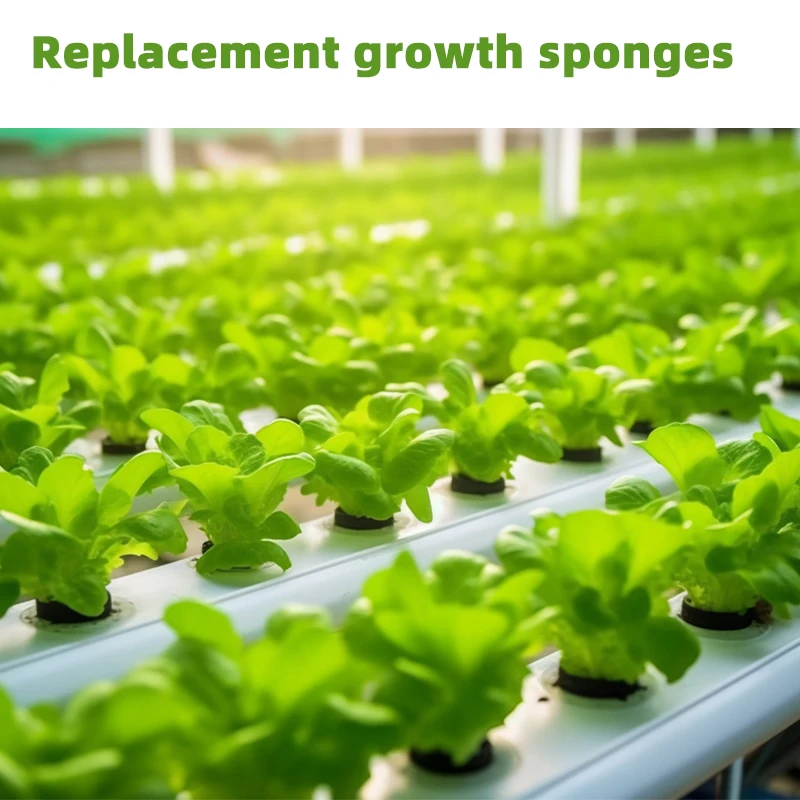 Transparent Agricultural Seedling Tray Seed Pods Kit for Hydroponics Growing System Outdoor Indoor Plants Hydroponics Supplies ﻿