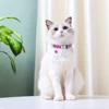 Personalized Cat ID Collar Anti-lost Puppy Cats Name Collars Custom Pet ID Name Tag Collars For Small Dogs Cats Bell Accessories 5