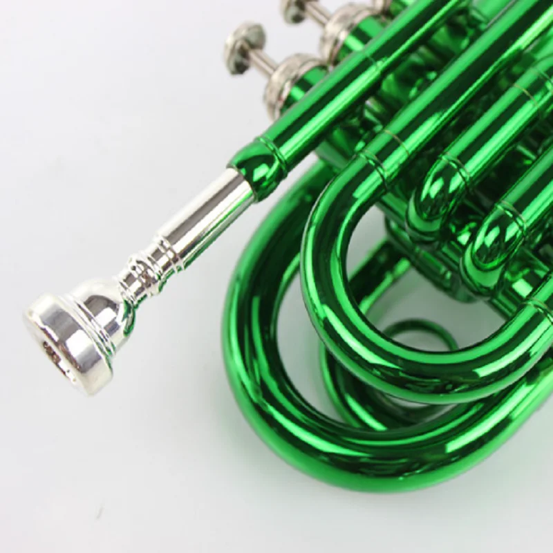 Pocket Green Palm Instrument for Beginner, Western Wind Instrument, B Flat, Manufacturers,