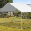 Chicken Coop Roosting Perch Essentials：Perfect for Backyard Poultry,Easy to Assemble & Clean, Fun Roost Toys Included 5