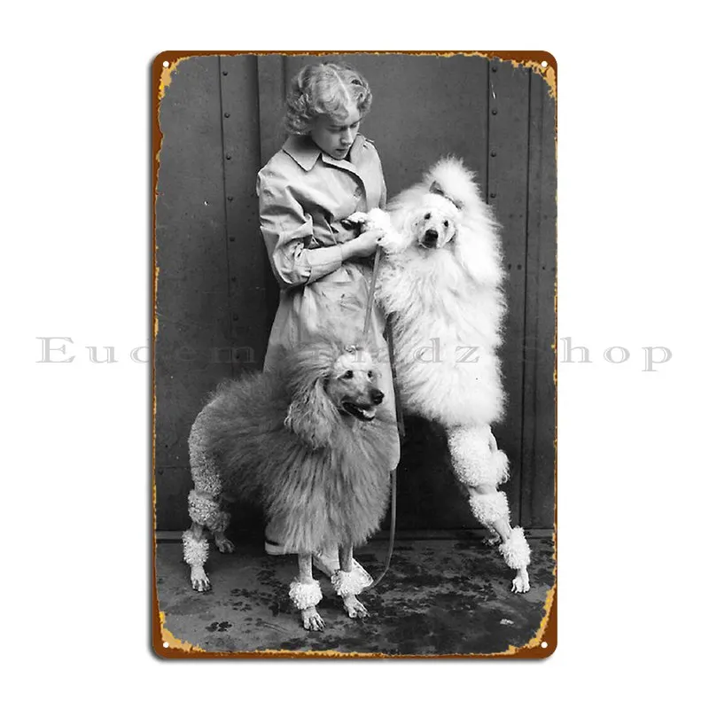 Barboncino Vintage Photo Cute Pet Dog Dos Pets Puppy Sweet With Girl Metal Signs Design Garage Print Paintingcinema