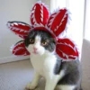 Pet Hat Costume Demogorgon Hat Props Headwear Soft Kitten Scary Flowers 2
