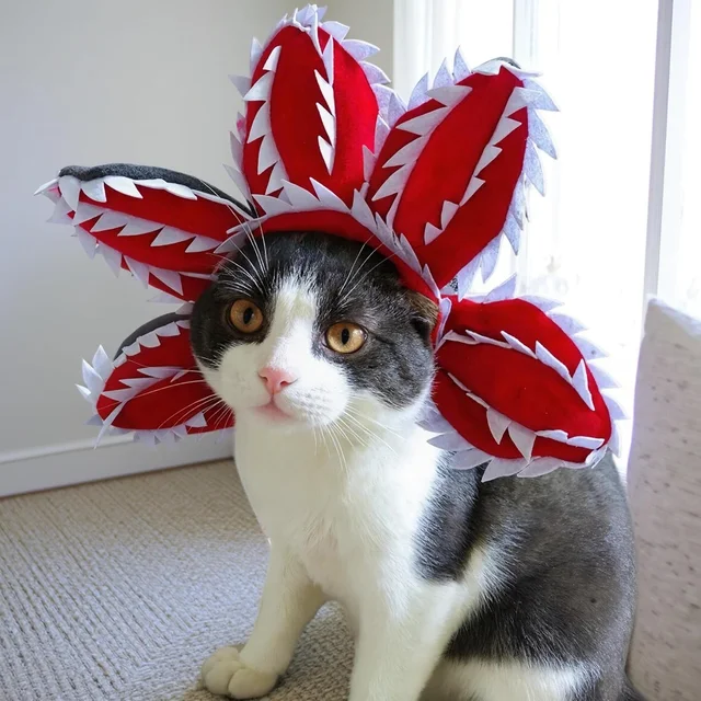 Pet Hat Costume Demogorgon Hat Props Headwear Soft Kitten Scary Flowers 2