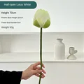 Half open white