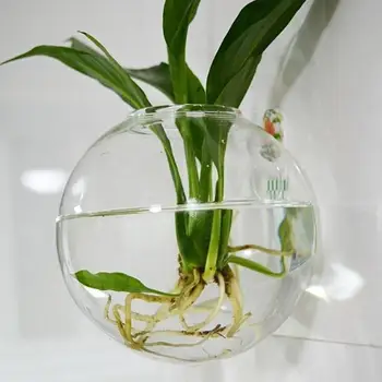 Wall Mounted Acrylic Fish Bowl 1