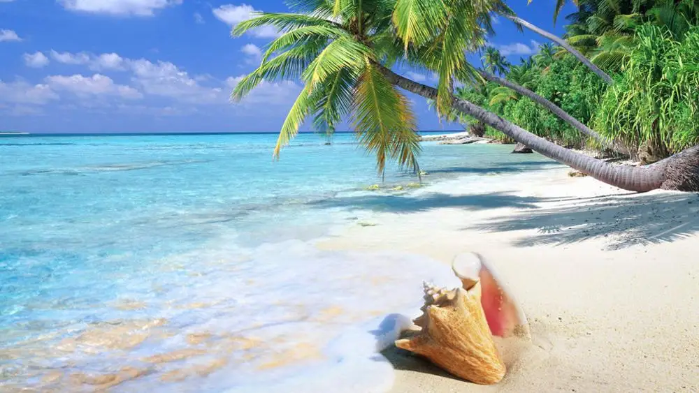 

Tropical Beach Palms Art Film Print Silk Poster Home Wall Decor 24x36inch