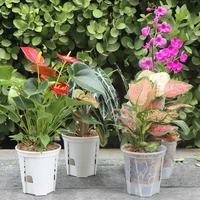 Pot auto-arrosant, pot à eau au fond, pot pour orchidées, pots à fleurs pour plantes, pot de jardin, pot paresseux, pot respirant pour racines d'orchidées 3