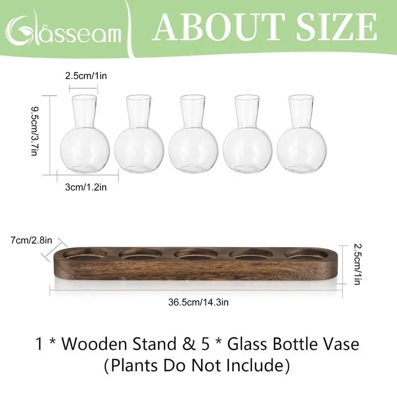 5 Bottle Glass Propagation Planter 6 | 5 Bottle Glass Propagation Planter 6