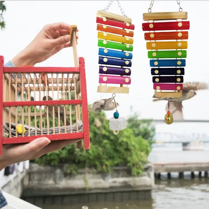 Bird Supplies