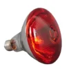 250w Infrared Heat Lamp Waterproof Anti-Explosion Thickened Light Bulbs For Piglet Chicken Birds E27 Small Heat Lamp 6